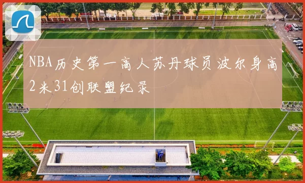 NBA历史第一高人苏丹球员波尔身高2米31创联盟纪录
