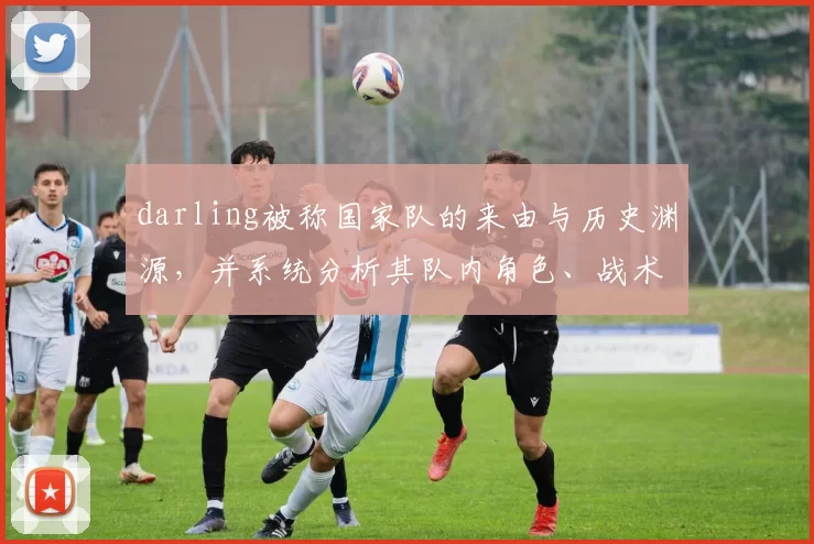 darling被称国家队的来由与历史渊源，并系统分析其队内角色、战术影响及实战表现