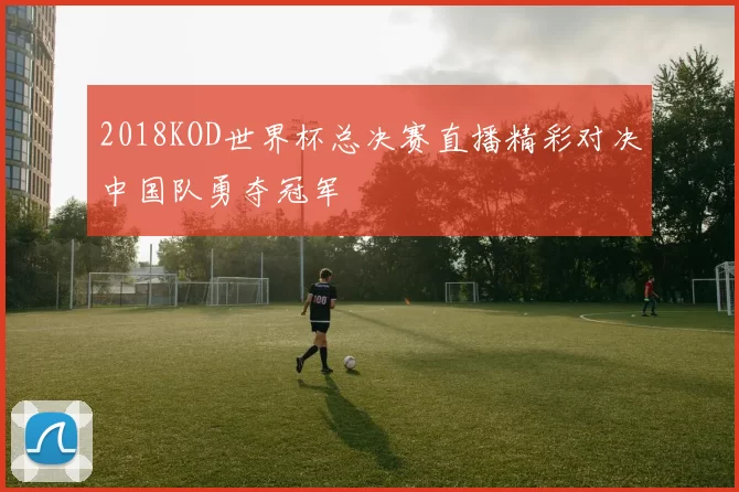 2018KOD世界杯总决赛直播精彩对决中国队勇夺冠军