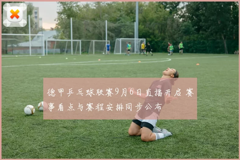 德甲乒乓球联赛9月6日直播开启 赛事看点与赛程安排同步公布